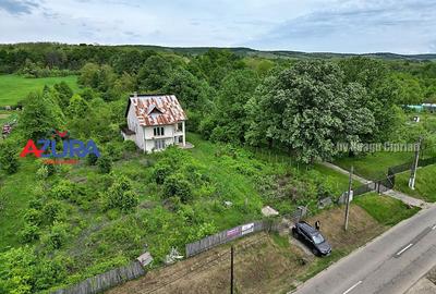 AZURA Imobiliare - Budeasa, Teren 5.069 mp, Casa BONUS - 8