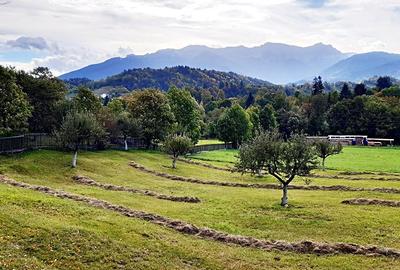 Teren superb de 16240mp, parcelabil, in Bran la intrare in Moeciu de Jos - 6