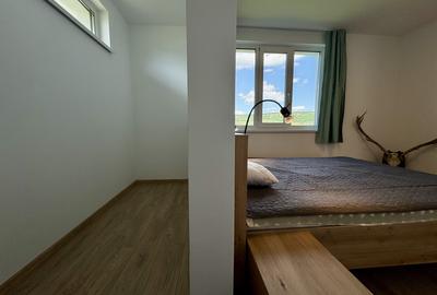 Casa individuala pe un singur nivel, 100 mp utili, 500 mp teren, Corușu - 12