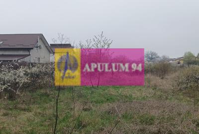 Săbăreni, teren intravilan 3767 mp, cu utilităti - 3