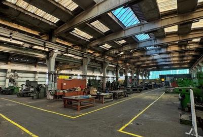 Vanzare/inchiriere 1-3 HALE si 1 cladire BIROURI, zona industriala mun. VASLUI - 1