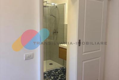 Apartament 2 Camere, 40mp, zona Horea, in vila, curte interioara - 4
