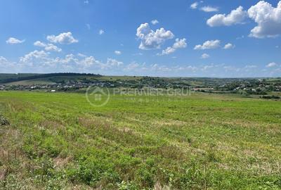 Teren extravilan cu deschidere la 2 drumuri - Miroslava 4500mp - 1