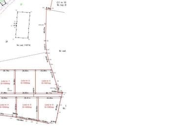 Teren intravilan plat in Bran, 1000 mp, vedere către Bucegi, utilitati - 8