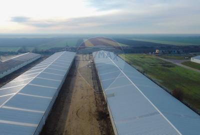 De vânzare – 2 hale industriale, 5.050 mp utili, Palota - 5