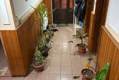 Colentina,Andronache,casa P+1+M,4camere+depend.,teren133mp,162.000Euro - 6