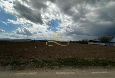 De vanzare doua loturi de teren in Fantanele-Bacau - 6