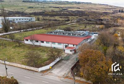 De vânzare Hală 1450mp producti industrial 15000mp teren Călan Jud. Hd - 23