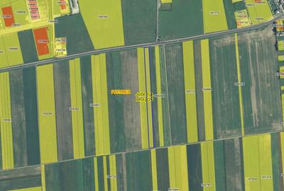 Teren Prejmer la DN 10, iesirea spre Brasov - 4