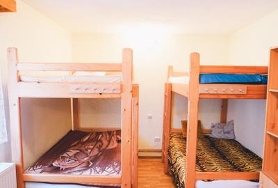 Casă de vacanță cu teren de 802 mp, Boița - Lotrioara, Sibiu - 16