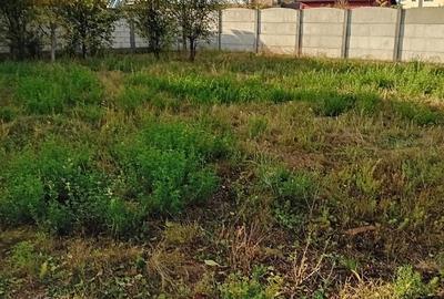 Teren autorizat pentru constructie 490mp - 3