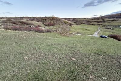 Teren Intravilan cu panorama în Borhanci Str Colonia Sopor 1000mp+85mp cota drum - 7