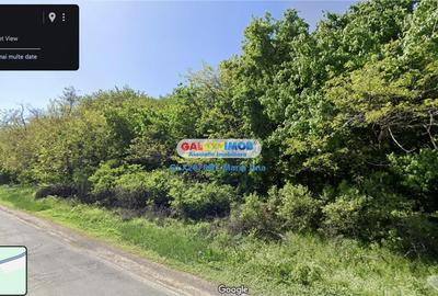 Teren Padure 6.500 mp., la strada, zona Cucorani! - 1