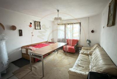 De vânzare 2 Case de vinificație cu Teren 4108 mp - Grădina Viilor - Carei - 12