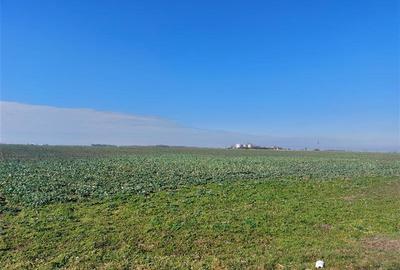 Teren arabil, zona Turnu - 4
