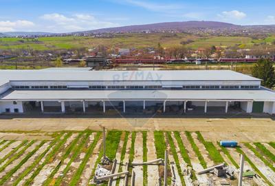 Spațiu industrial 4.4Ha Teren și 15.000mpc - Zona Industrială - Hârlău - 18