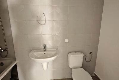 De inchiriat 2 apartamente nemobilate, Dynamic Residence - Tractoru - 23