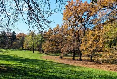 Garsoniera renovata Vis-a-Vis de Parcul Sub Arini - 8