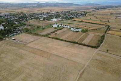 Teren intravilan 30.110 mp Filipeștii de Târg – ideal investiție / dezvoltare – - 4