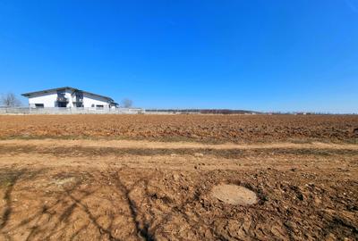 Teren intravilan 13175mp utilitati Ciolpani Strada Alunisului - Padurea Snagov - 8