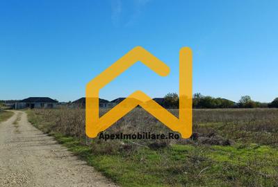 Corbeanca - Tamasi | Teren 1225mp, deschidere 44ml | Utilitati la 50m - 8