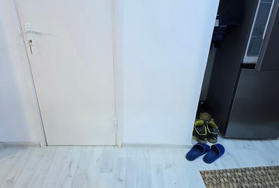 Vand apartament cu 2 camere in Deva, zona Al. Muncii, parter, mobilat, utilat - 4