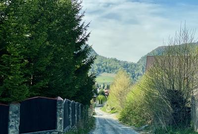 Teren panoramic însorit, utilități, panta mica si pădure, turism sau vacanță - 13