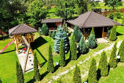 Casa de vis în inima naturii – Valea Doftanei, Prahovaa - 6
