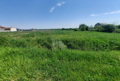 Teren intravilan la intrare in Vetis – 12.216 mp - 1