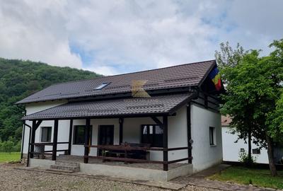 Complex turistic și proprietate deosebită de vânzare în Valea Dobârlău - 23