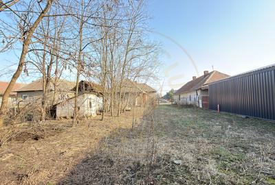 Casa 4 camere, Teren 2.948 mp Tiream SM - Comision 0% cumparator - 8