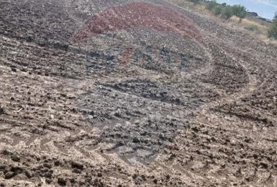 Teren de vanzare 4500mp Strada Rasaritului Darvari Ciorogarla A0 - 5