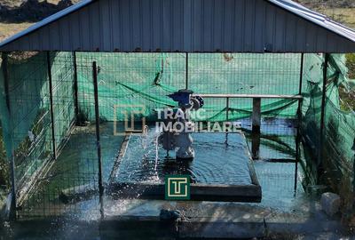 PUT GEOTERMAL NATURAL PE UN TEREN DE 36.476 MP IN SOCODOR, ARAD - 1