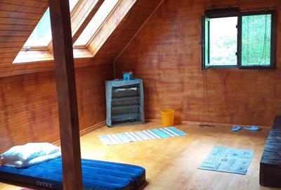 Cabana de vanzare, 8000 mp teren intravilan. Plopi - 8