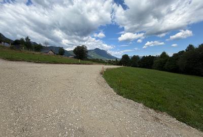 Teren intravilan  1000 mp zona Bran-Tohanita,langa padurela 10 km de Rasnov - 5