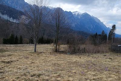 Teren 622 mp  in Sinaia - Zamora, priveliste peisagistică spre Bucegi! - 7