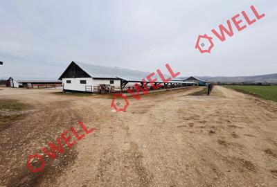 Ferma complet echipată de 22 de hectare de vânzare în Zoltan! - 11