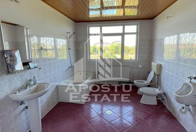 Casa de inchiriat 400 mp utili cu 9 birouri, Zona Freidorf - 4