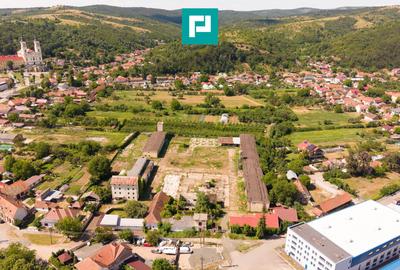 Spațiu industrial cu Teren 13.072 mp în Lipova - 3