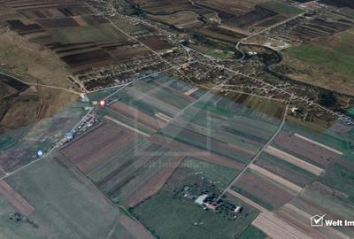 Gradina ta in Jucu de Sus - proximitate Statia Radio - 1