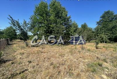 Casa 4 Camere, Parter, Runcu - Baltisoara - 19