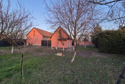 Casă la sol utilata, Micălaca, teren 765 mp, front 27 m, 0% comision - 10