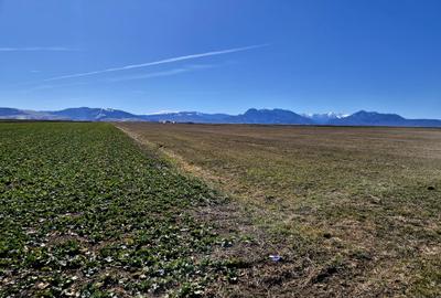 URGENT! / Teren extravilan de vânzare – Prejmer, Brașov /  INVESTITIE! - 1