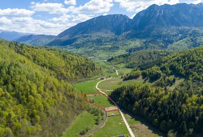 Comision0%Teren 1893mp PUZ in lucru Barsa Fierului Zarnesti - 2