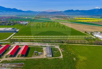 Teren extravilan 5.009 mp / Râșnov/ COMISION 0% - 6