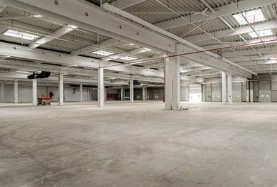 Închiriere spații industriale în Industria Park Arad - 1