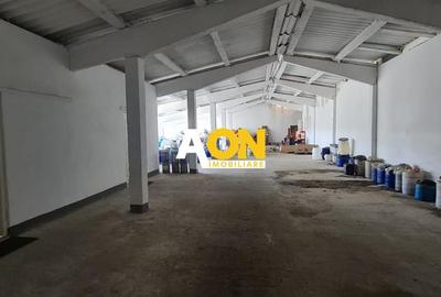 Hală Industrială de Vânzare, 1077mp, Oiejdea - 11