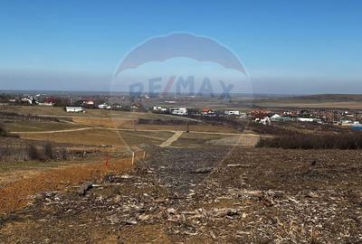 Teren de vânzare – Paleu, județul Bihor | 3 parcele a câte 618 mp - 6