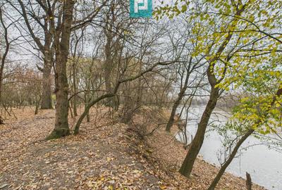 Teren extravilan de 5000 mp, în Periam