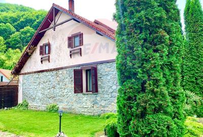 Pensiune cu 13 camere de vânzare in Bulz - 43